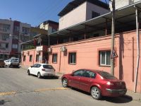 saglik8